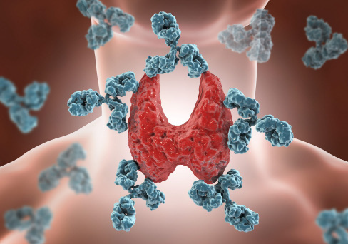 ENDOCRINOLOGY